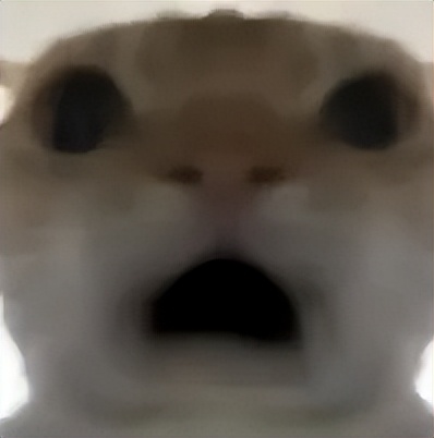 Ồ! NBA đang xem xét hủy hợp đồng! Lakers và Warriors muốn tiếp nhận Leonard