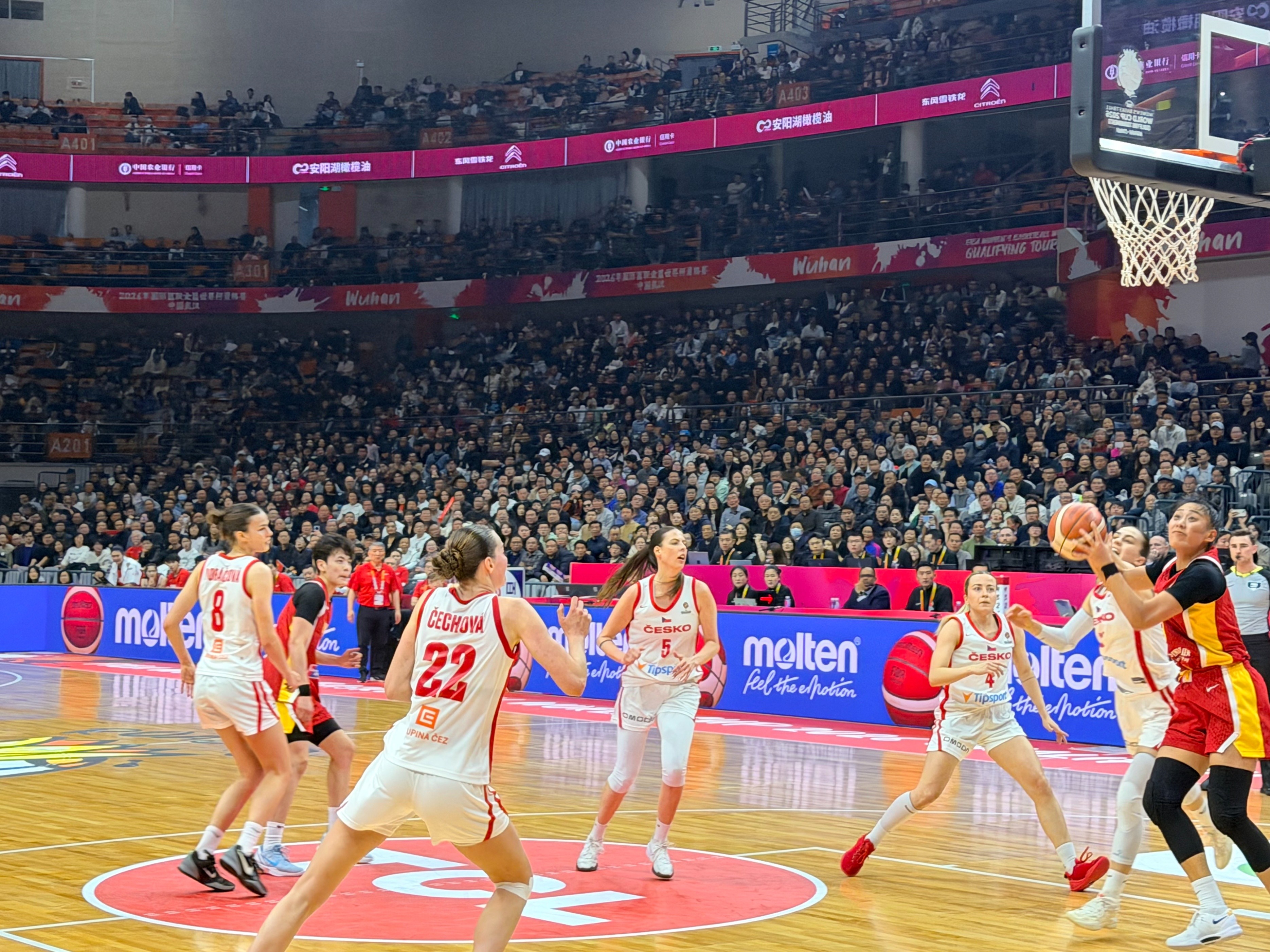 Sớm tiến vào World Cup! Wang Siyu 14 điểm dẫn đầu 12 người ghi điểm, đội bóng rổ nữ Trung Quốc đánh bại Czech tại vòng loại World Cup