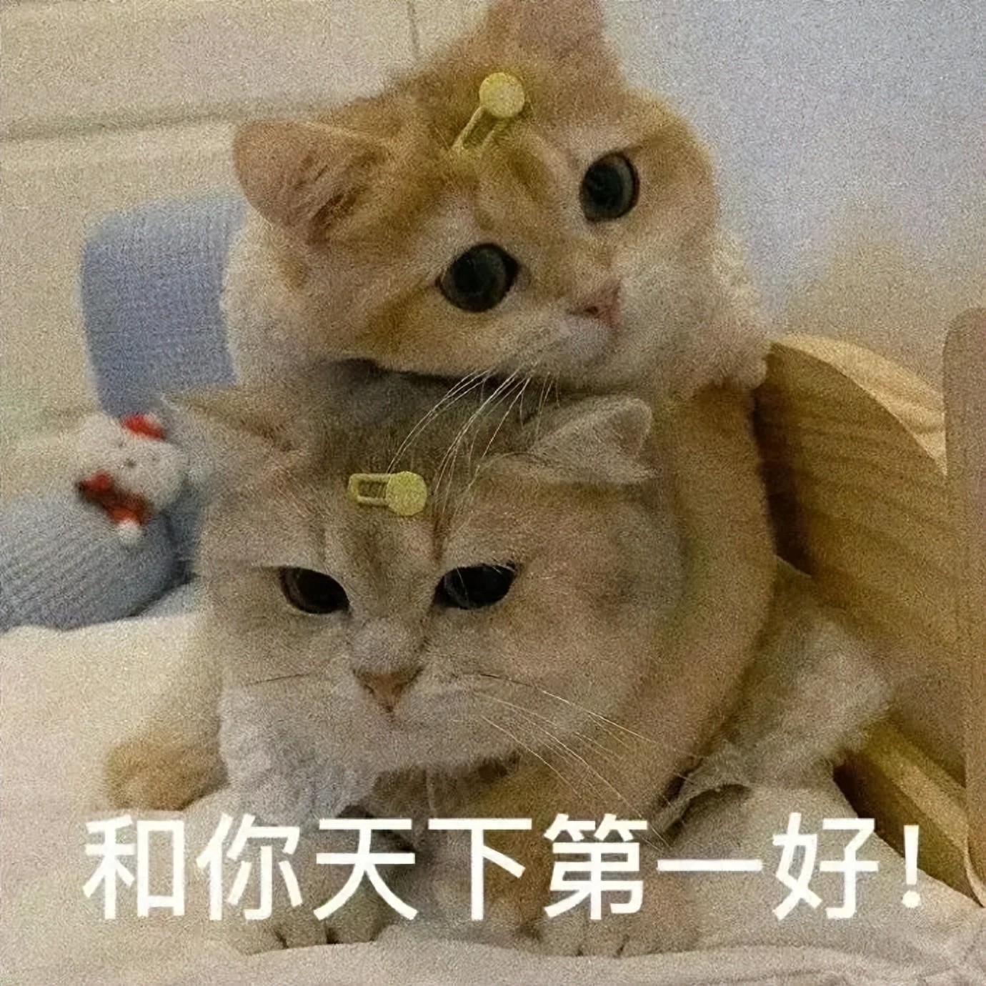 Tuyệt vời! Reeves + 3 lượt chọn vòng đầu! Nhà báo Mỹ tiết lộ Lakers sẽ chi mạnh mua siêu sao