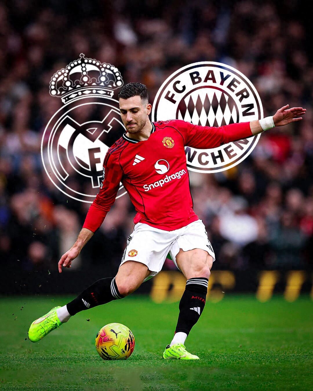 Cầu thủ được Mourinho yêu thích nhận được sự quan tâm từ Bayern và Real Madrid nhưng Man United không bán! Neville ủng hộ, không phải đẳng cấp thế giới nhưng hữu dụng