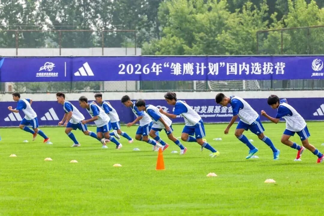 Từ “du học ép buộc” đến “khuyến khích du học”: Cuộc cải cách hệ thống lớn, dùng chính sách thúc đẩy thị trường