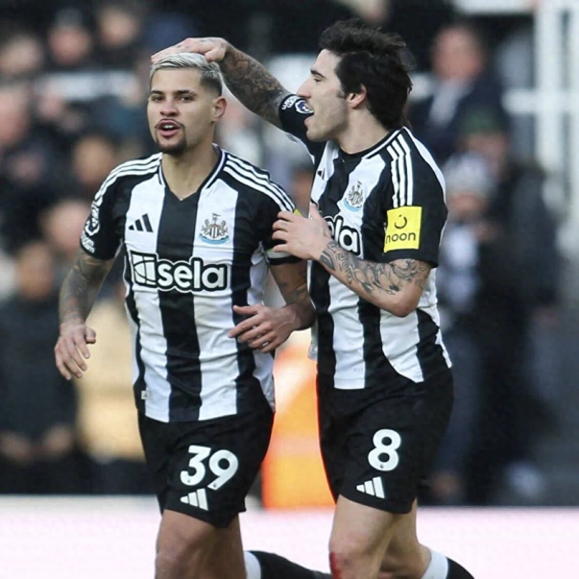 Manchester United công bố giá tâm lý mua Tonali, trên 70 triệu có thể bỏ! Ký Guimarães có một điểm lo ngại