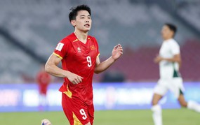 Phẩm chất ngôi sao của Đình Bắc