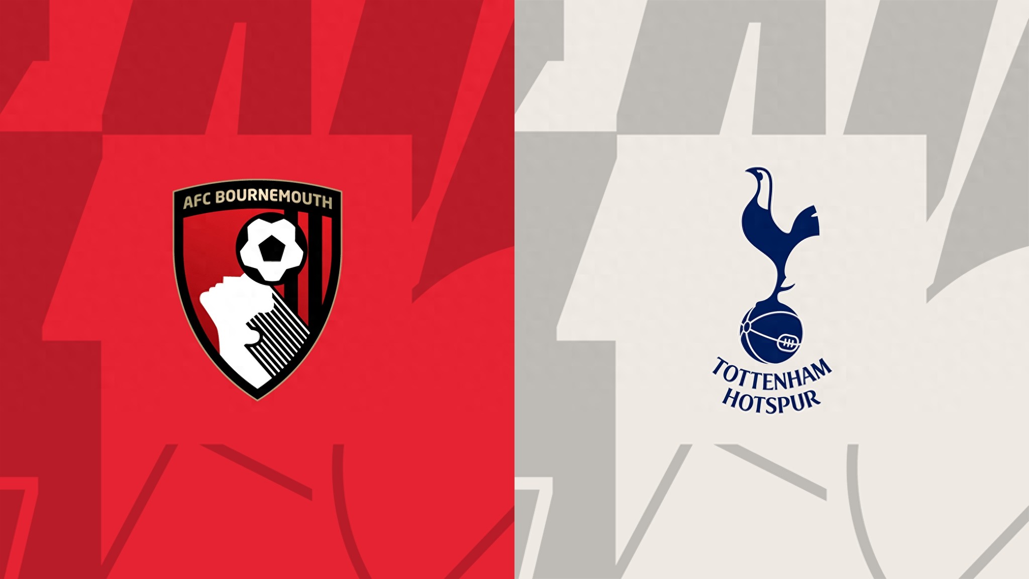 Dự đoán trận Bournemouth vs Tottenham: Quân Cherry không thắng 11 trận, Tottenham là rồng sân khách, Cherry khó cắt được gai