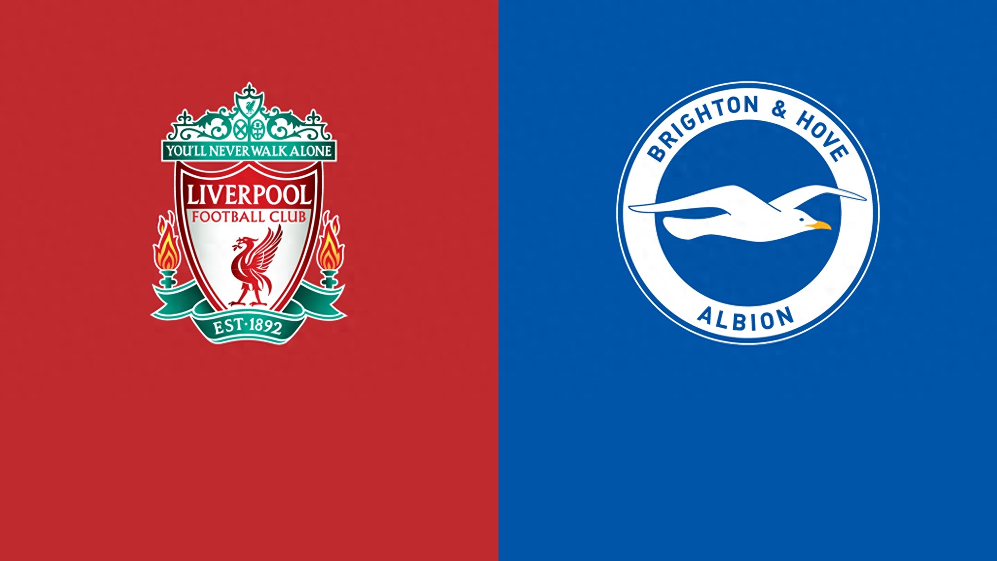 Dự đoán trận Liverpool vs Brighton: Vấn đề của Salah đã được giải quyết, Liverpool thắng đội Hải Âu trên sân nhà