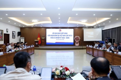 VFF lên kế hoạch quan trọng cho hàng loạt đội tuyển Việt Nam