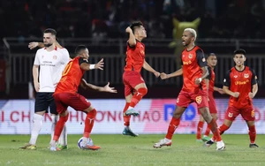 Link xem trực tiếp bóng đá Ninh Bình vs Hồng Lĩnh Hà Tĩnh 18h00 ngày 7/6, vòng 26 V-League