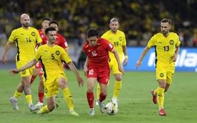 Tin nóng bóng đá Việt hôm nay 18/3: Đội tuyển Việt Nam thăng hạng FIFA; CLB Thép Xanh Nam Định công bố hai tân binh