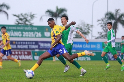 Cựu vua phá lưới V-League bất ngờ gia nhập đội bóng của HLV Park Hang Seo