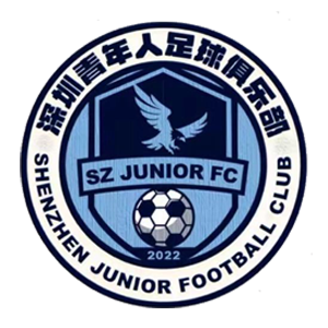 深圳青年人